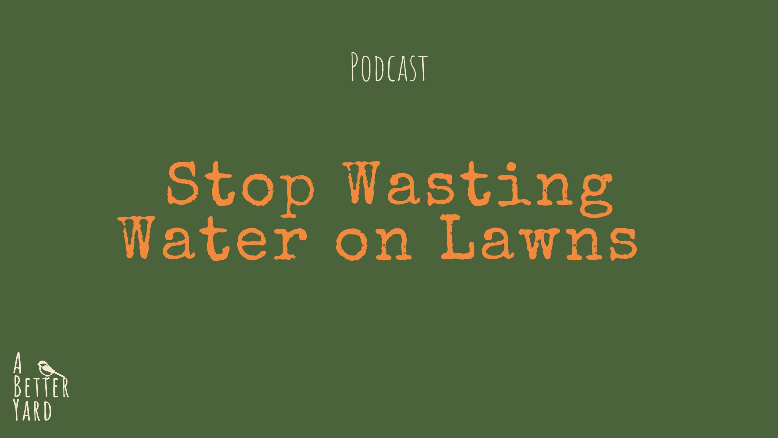 Stop Wasting Water on Your Lawn