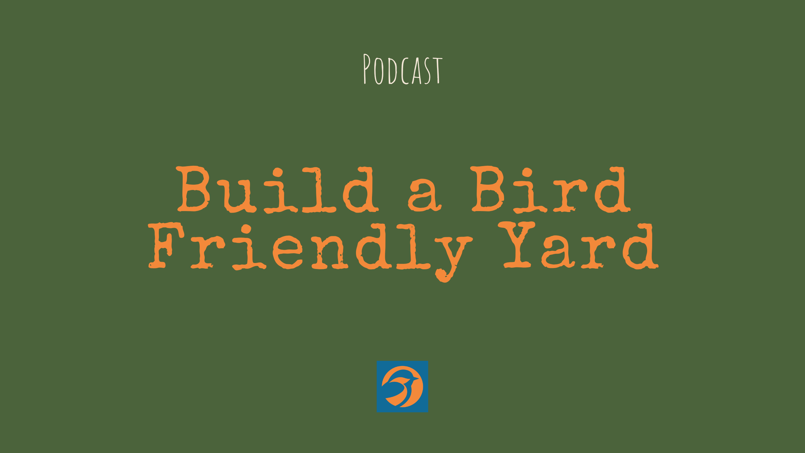 How to Build a Bird Friendly Yard That Actually Supports Life