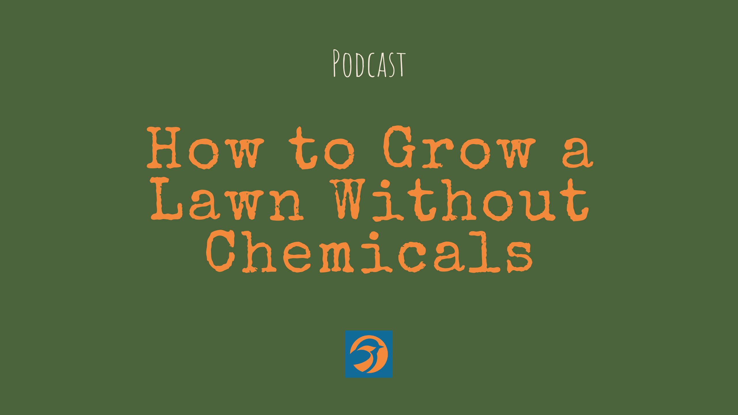 How to Grow a Lawn Without Chemicals (That Still Looks Good)