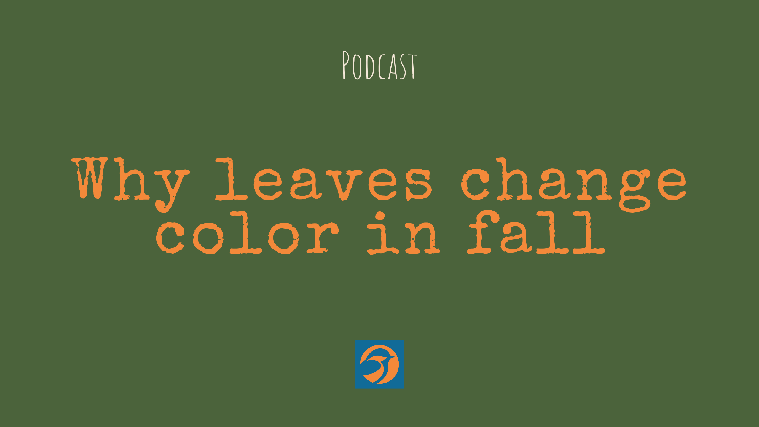 Why Leaves Change Color in Fall